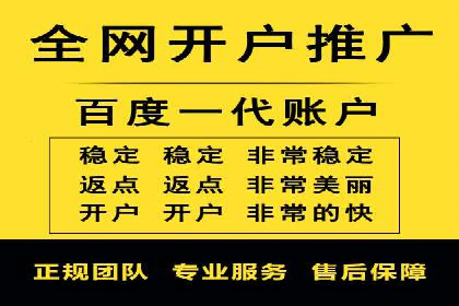 SEM实战案例：案例分析广告投放